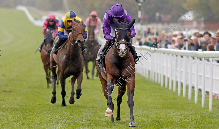 Atalanta s-Boy-0003 
 ATALANTA'S BOY (Thomas Greatrex) wins The Birra Moretti Handicap
Goodwood 25 Sep 2019 - Pic Steven Cargill / Racingfotos.com