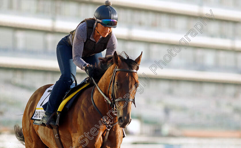 Shirl s-Speight-0001 
 SHIRL'S SPEIGHT training for The Dubai Turf
Meydan, Dubai, 22 Mar 2023 - Pic Steven Cargill / Racingfotos.com