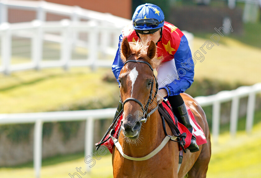 Kentucky-Hardboot-0001 
 KENTUCKY HARDBOOT (Callum Shepherd)
Sandown 25 Jul 2019 - Pic Steven Cargill / Racingfotos.com