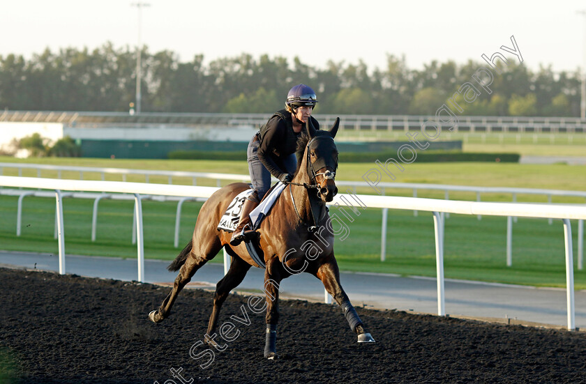 Khaadem-0001 
 KHAADEM training at the Dubai World Cup Carnival
Meydan 5 Jan 2023 - Pic Steven Cargill / Racingfotos.com