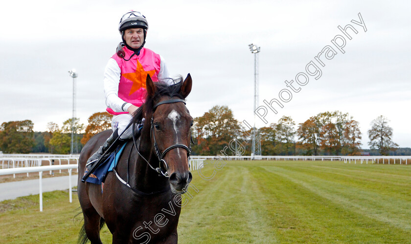 Square-De-Luynes-0011 
 SQUARE DE LUYNES (Robert Havlin) after The Stockholm Cup International
Bro Park, Sweden 22 Sep 2019 - Pic Steven Cargill / Racingfotos.com