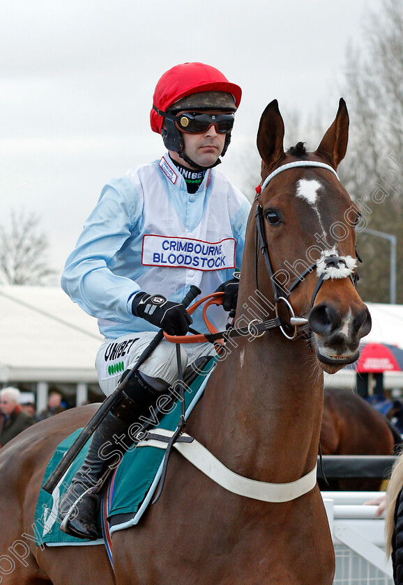 Barbados-Blue-0001 
 BARBADOS BLUE (Nico de Boinville)
Warwick 9 Dec 2021 - Pic Steven Cargill / Racingfotos.com