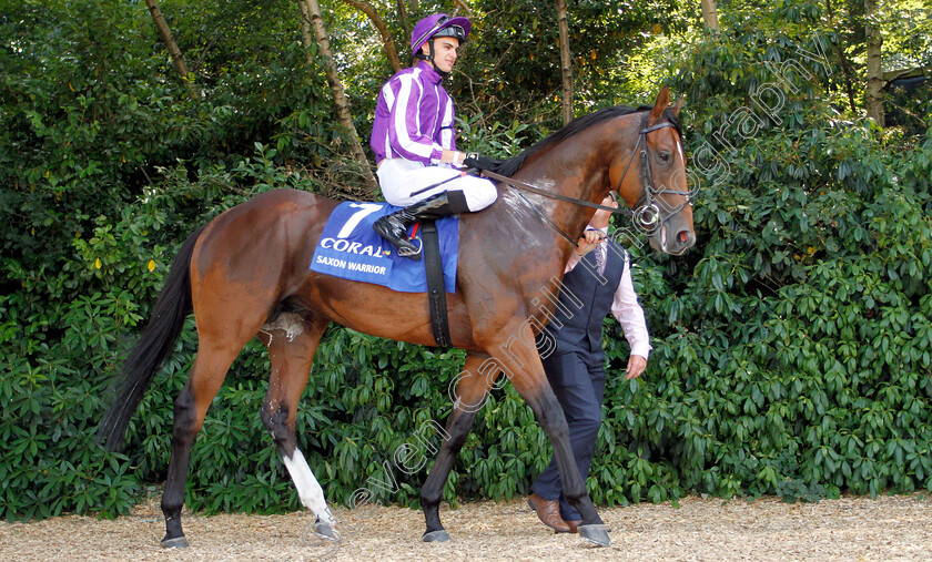 Saxon-Warrior-0002 
 SAXON WARRIOR (Donnacha O'Brien)
Sandown 7 Jul 2018 - Pic Steven Cargill / Racingfotos.com