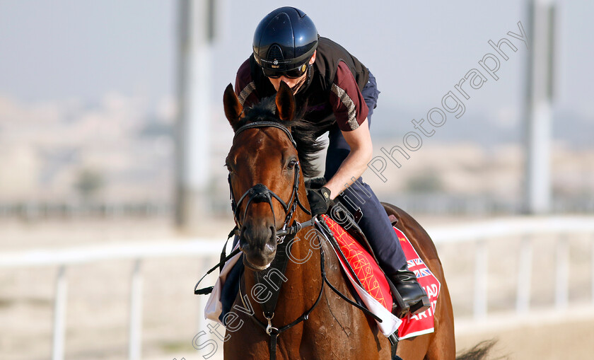 Lead-Artist-0002 
 LEAD ARTIST training for the Bahrain International Trophy
Kingdom of Bahrain 14 Nov 2024 - Pic Steven Cargill / Racingfotos.com