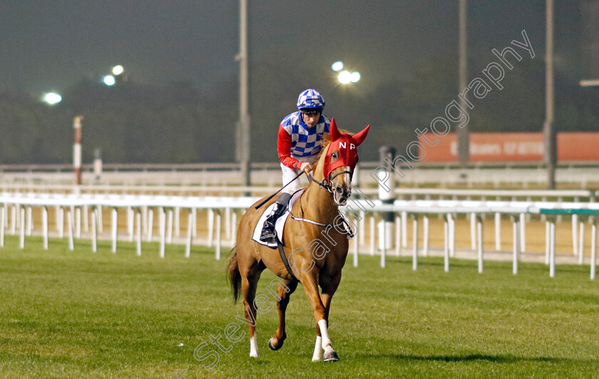 Ascot-Brass-0001 
 ASCOT BRASS (Dane O'Neill)
Meydan 3 Feb 2023 - Pic Steven Cargill / Racingfotos.com