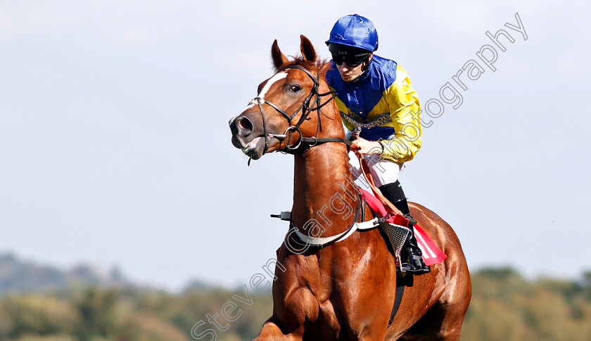 Voltaic-0001 
 VOLTAIC (Luke Morris)
Sandown 19 Sep 2018 - Pic Steven Cargill / Racingfotos.com