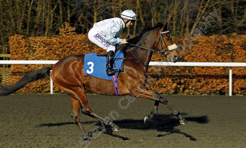 Calumet-0001 
 CALUMET (Marco Ghiani)
Kempton 14 Feb 2024 - Pic Steven Cargill / Racingfotos.com