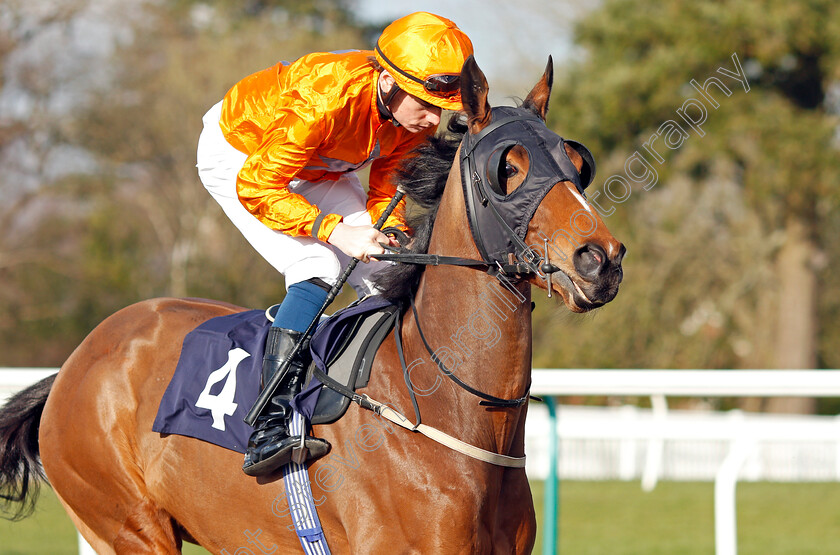 Rhubarb-Bikini 
 RHUBARB BIKINI (Callum Shepherd)
Lingfield 9 Mar 2022 - Pic Steven Cargill / Racingfotos.com