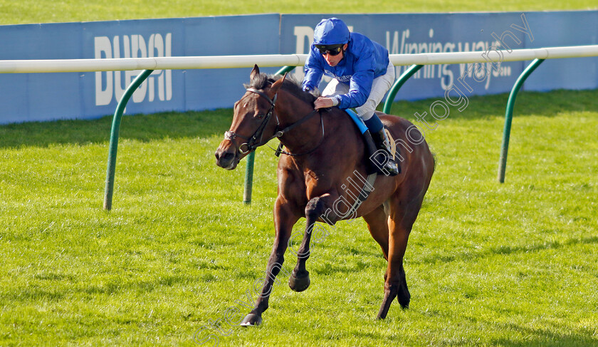 Ancient-Wisdom-0002 
 ANCIENT WISDOM (William Buick) wins The Emirates Autumn Stakes
Newmarket 14 Oct 2023 - Pic Steven Cargill / Racingfotos.com