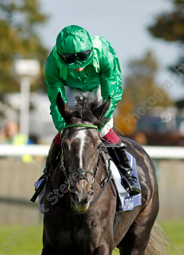 Running-Lion-0001 
 RUNNING LION (Oisin Murphy)
Newmarket 29 Sep 2023 - Pic Steven Cargill / Racingfotos.com