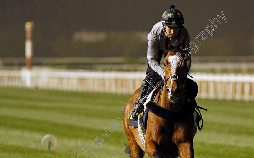 Harrovian-0002 
 HARROVIAN training for The Dubai Turf
Meydan, Dubai, 24 Mar 2022 - Pic Steven Cargill / Racingfotos.com