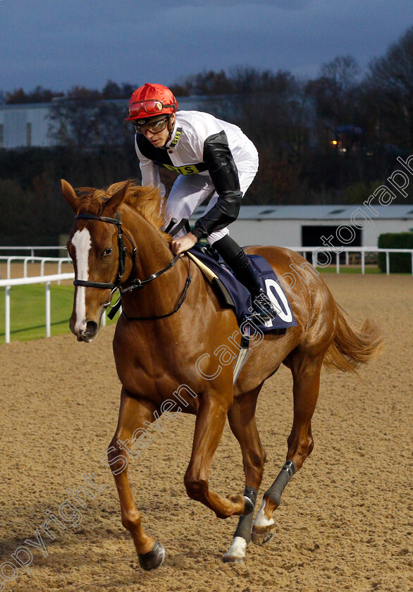 Red-Poppy-0001 
 RED POPPY (James Doyle)
Wolverhampton 26 Nov 2019 - Pic Steven Cargill / Racingfotos.com