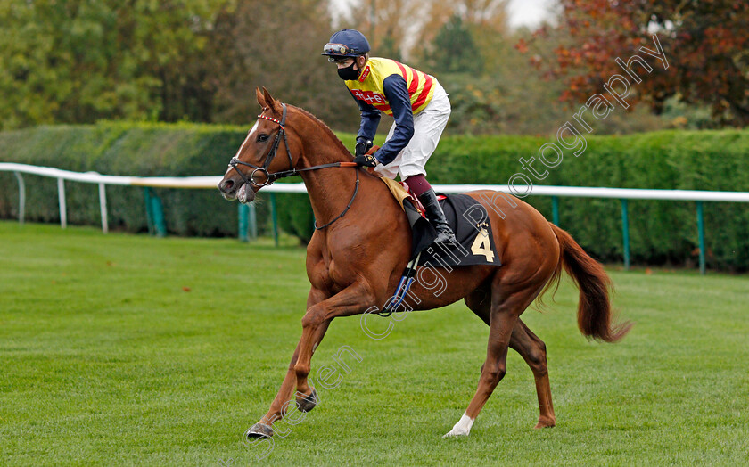 Cadeau-D Or-0001 
 CADEAU D'OR (Rob Hornby)
Nottingham 28 Oct 2020 - Pic Steven Cargill / Racingfotos.com