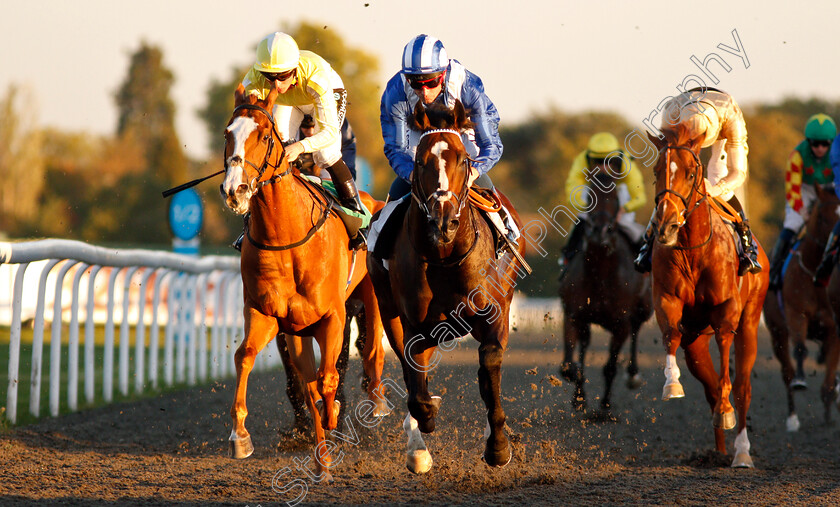 Alfarqad-0006 
 ALFARQAD (centre, Dane O'Neill) beats RING DANCER (left) in The 100% Profit Boost At 32Redsport.com Novice Stakes Div1
Kempton 27 Sep 2018 - Pic Steven Cargill / Racingfotos.com