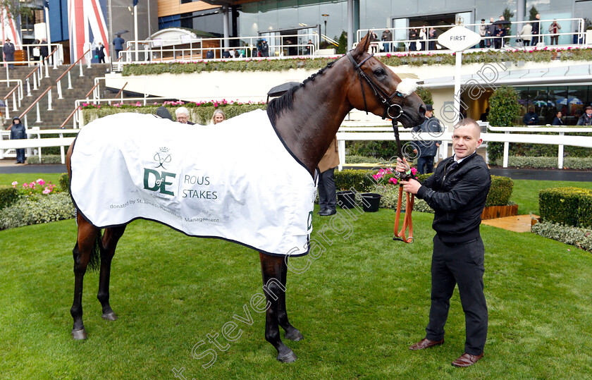 Intense-Romance-0007 
 INTENSE ROMANCE after The Duke Of Edinburgh's Award Rous Stakes
Ascot 6 Oct 2018 - Pic Steven Cargill / Racingfotos.com