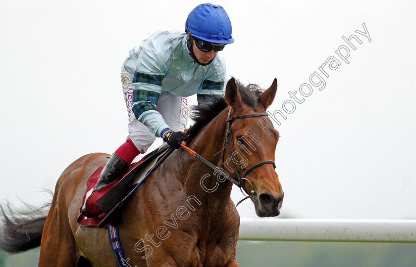 Quickthorn-0007 
 QUICKTHORN (Oisin Murphy) wins The Heed Your Hunch At Betway Handicap
Haydock 29 May 2021 - Pic Steven Cargill / Racingfotos.com