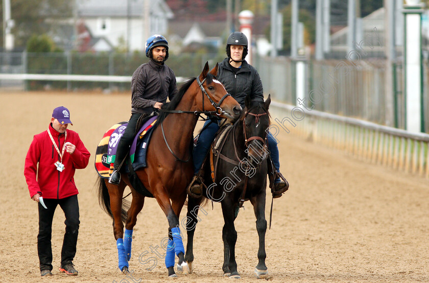 Enable-0005 
 ENABLE exercising ahead of the Breeders' Cup Turf
Churchill Downs 30 Oct 2018 - Pic Steven Cargill / Racingfotos.com