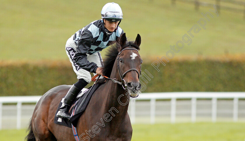 Air-Pilot-0003 
 AIR PILOT (Harry Bentley) before The British Stallion Studs EBF Foundation Stakes
Goodwood 25 Sep 2019 - Pic Steven Cargill / Racingfotos.com