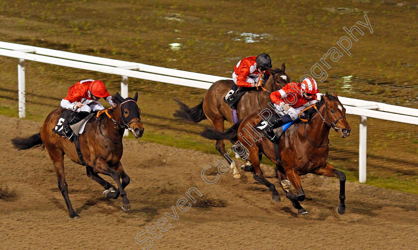 La-Tihaty-0008 
 LA TIHATY (Cameron Noble) beats ROGUE FORCE (left) in The Support The Injured Jockeys Fund Novice Stakes
Chelmsford 22 Jan 2021 - Pic Steven Cargill / Racingfotos.com