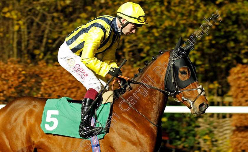 Portsmouth-0001 
 PORTSMOUTH (Oisin Murphy)
Kempton 13 Dec 2023 - Pic Steven Cargill / Racingfotos.com