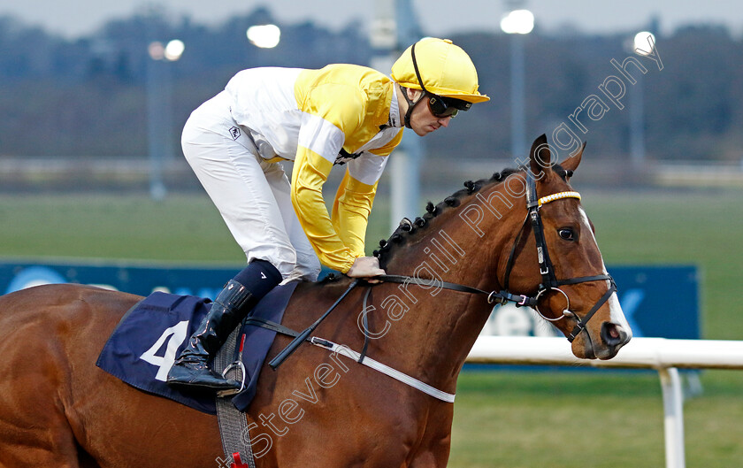 Quiet-Resolve-0004 
 QUIET RESOLVE (Oisin Orr)
Wolverhampton 9 Mar 2024 - Pic Steven Cargill / Racingfotos.com