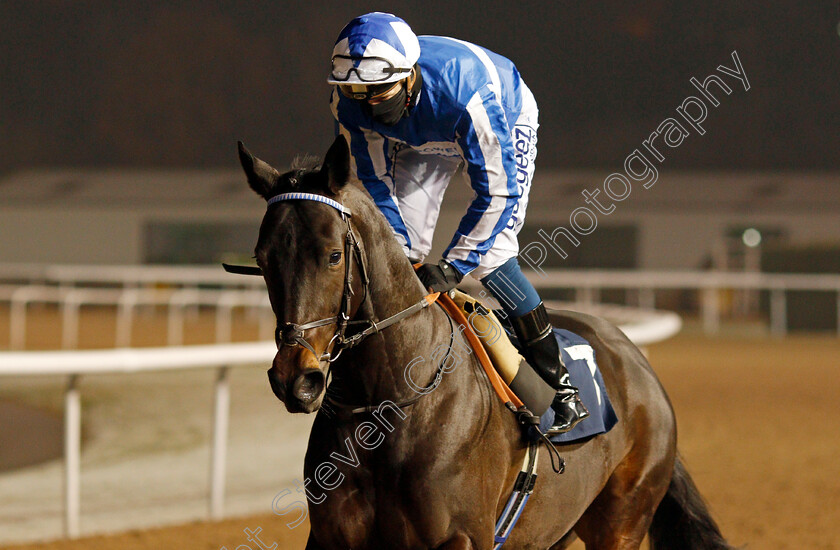 Mercurius-Power-0001 
 MERCURIUS POWER (David Probert)
Wolverhampton 7 Jan 2021 - Pic Steven Cargill / Racingfotos.com