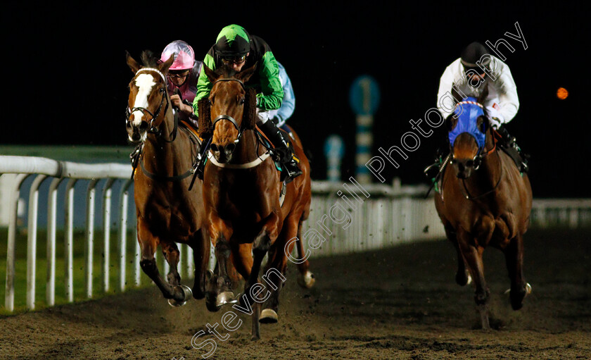 Evasive-Power-0002 
 EVASIVE POWER (Kieran Shoemark) wins The Try Our New Super Boosts At Unibet Handicap Div2
Kempton 24 Feb 2021 - Pic Steven Cargill / Racingfotos.com