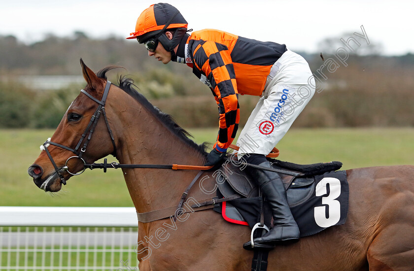 Just-Lucky-Sivola-0002 
 JUST LUCKY SIVOLA (Harry Cobden)
Ascot 21 Dec 2024 - Pic Steven Cargill / Racingfotos.com