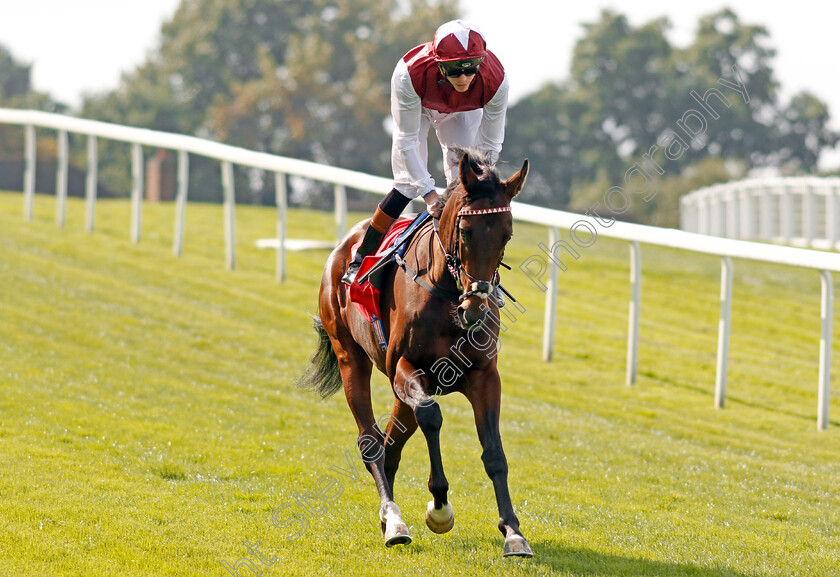 Graffiti-Master-0001 
 GRAFFITI MASTER (James Doyle) in the colours of Sheikha Al Jalila Racing at Sandown 1 Sep 2017 - Pic Steven Cargill / Racingfotos.com