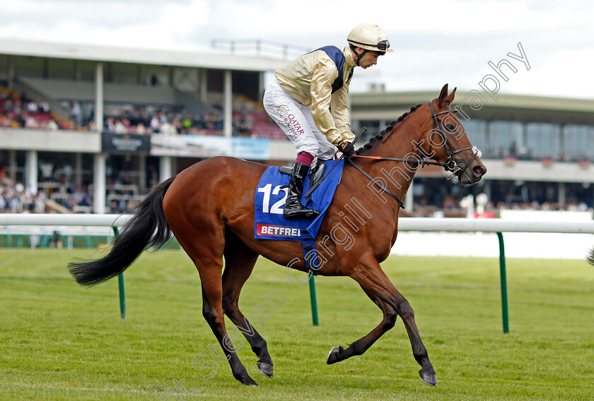 Sirona-0001 
 SIRONA (Oisin Murphy)
Haydock 8 Jun 2024 - Pic Steven Cargill / Racingfotos.com