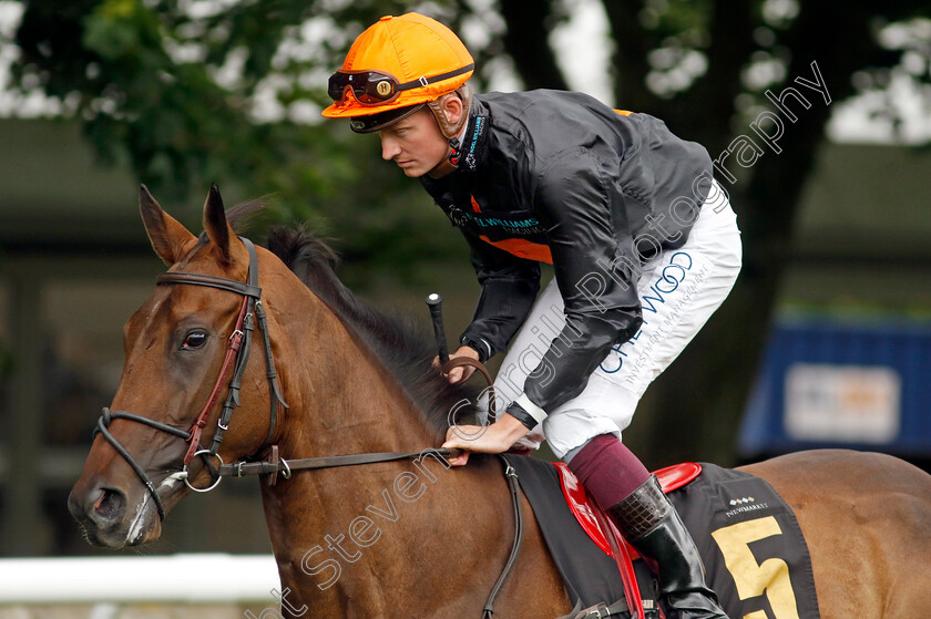 Saisissante-0001 
 SAISISSANTE (Rob Hornby)
Newmarket 1 Jul 2023 - Pic Steven Cargill / Racingfotos.com