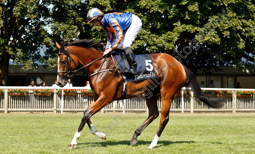 Clemmie-0002 
 CLEMMIE (Ryan Moore)
Newmarket 13 Jul 2018 - Pic Steven Cargill / Racingfotos.com