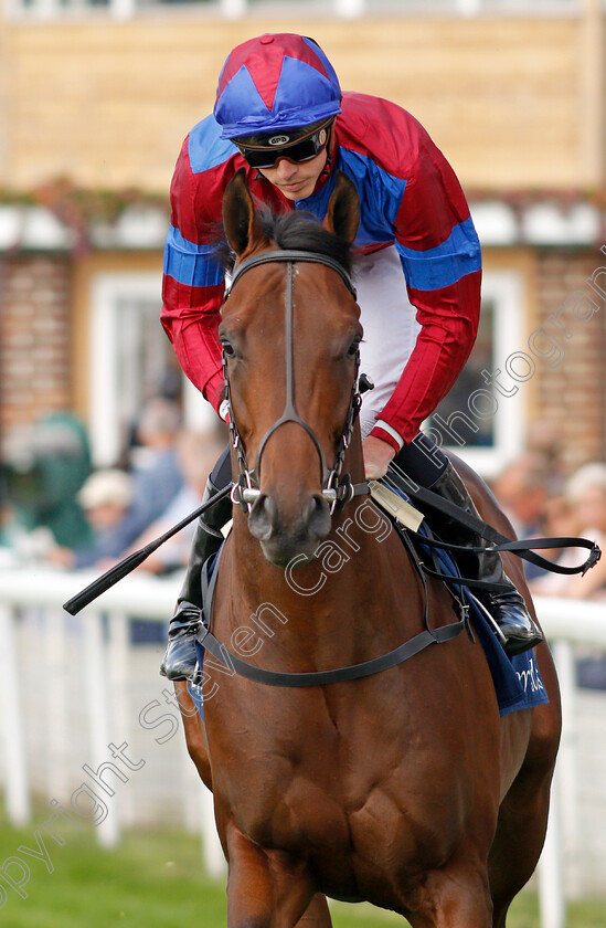 Dubawi-Legend-0003 
 DUBAWI LEGEND (James Doyle)
York 18 Aug 2021 - Pic Steven Cargill / Racingfotos.com