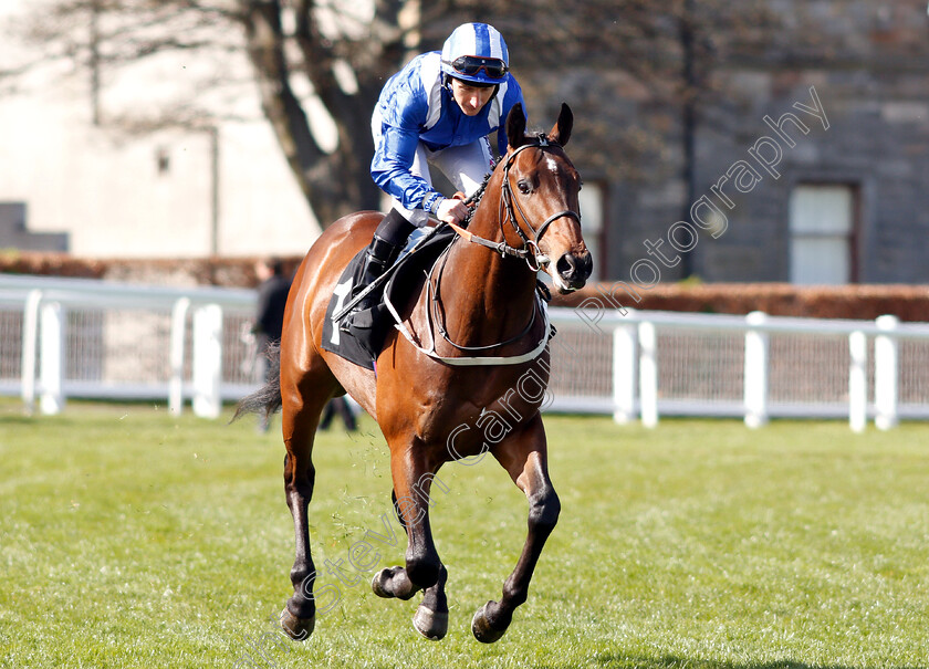 Alminoor-0001 
 ALMINOOR (P J McDonald)
Musselburgh 2 Apr 2019 - Pic Steven Cargill / Racingfotos.com