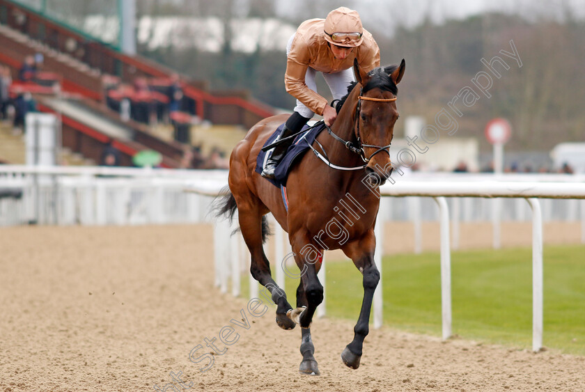 Nine-Tenths-0007 
 NINE TENTHS (William Buick) winner of The Betmgm Lady Wulfruna Stakes
Wolverhampton 9 Mar 2024 - Pic Steven Cargill / Racingfotos.com