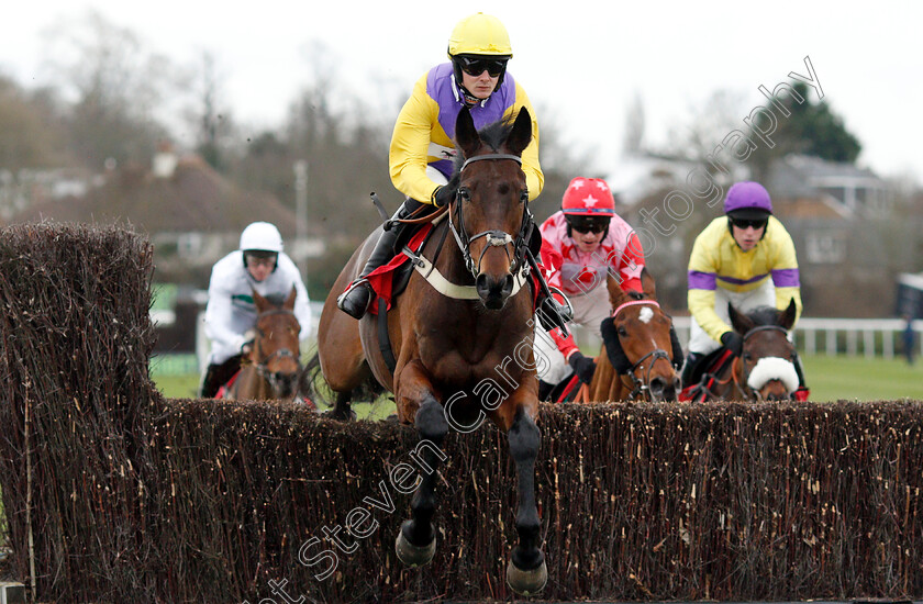 Mercian-Prince-0004 
 MERCIAN PRINCE (Jack Quinlan) wins The Unibet Download The App Handicap Chase
Kempton 12 Jan 2019 - Pic Steven Cargill / Racingfotos.com