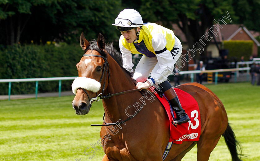 Forza-Orta 
 FORZA ORTA (David Egan)
Haydock 28 May 2022 - Pic Steven Cargill / Racingfotos.com