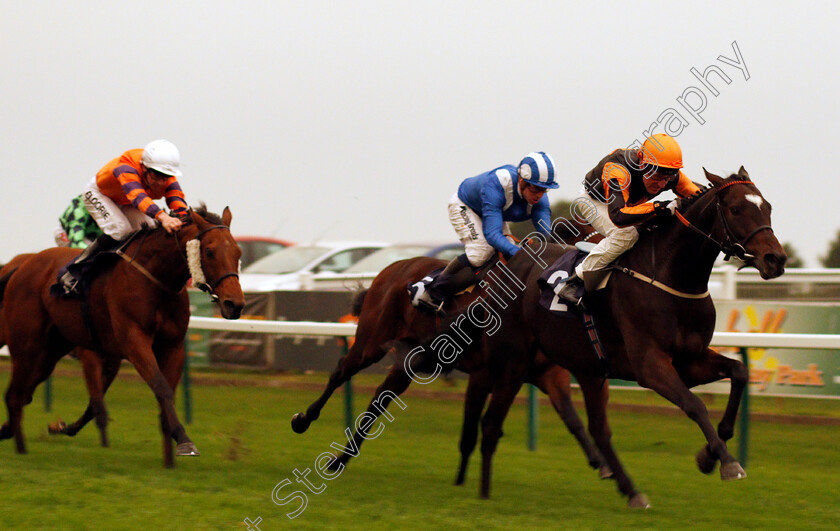 Blaze-Of-Hearts-0001 
 BLAZE OF HEARTS (John Egan) wins The Racing Welfare Handicap Yarmouth 16 Oct 2017 - Pic Steven Cargill / Racingfotos.com