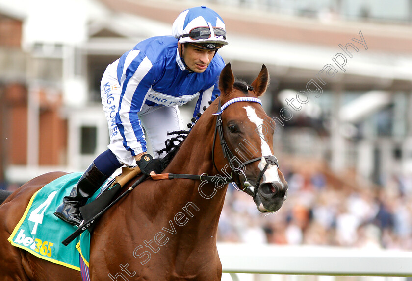 Fox-Chairman-0001 
 FOX CHAIRMAN (Silvestre De Sousa) winner of The bet365 Steventon Stakes
Newbury 20 Jul 2019 - Pic Steven Cargill / Racingfotos.com