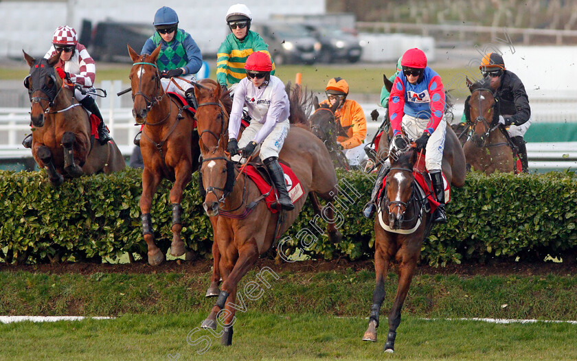 Rolling-Dylan-0003 
 ROLLING DYLAN (centre, Micheal Nolan) and CHIC NAME (right)
Cheltenham 13 Dec 2019 - Pic Steven Cargill / Racingfotos.com