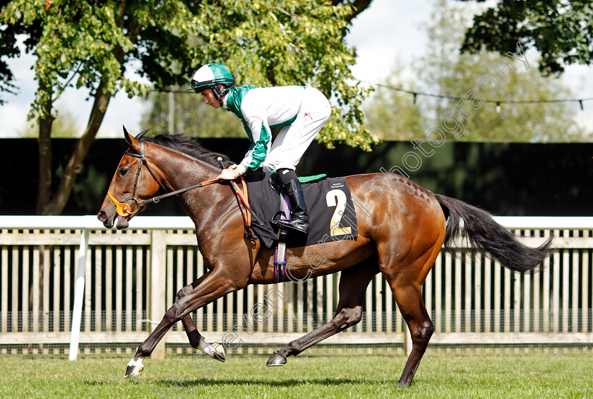 Ardbraccan-0001 
 ARDBRACCAN (Rossa Ryan)
Newmarket 7 Aug 2021 - Pic Steven Cargill / Racingfotos.com