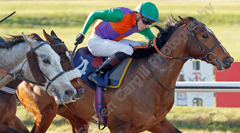 Reeves-0007 
 REEVES (Sean Davis) wins The Bombardier Golden Beer Handicap
Lingfield 10 Jan 2020 - Pic Steven Cargill / Racingfotos.com