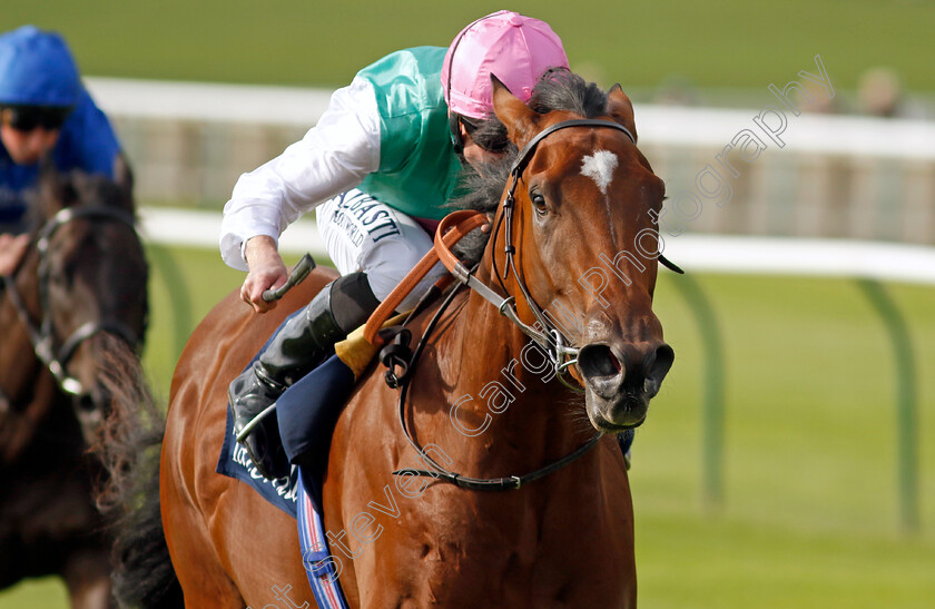 Nostrum-0002 
 NOSTRUM (Ryan Moore) wins The Tattersalls Stakes
Newmarket 22 Sep 2022 - Pic Steven Cargill / Racingfotos.com