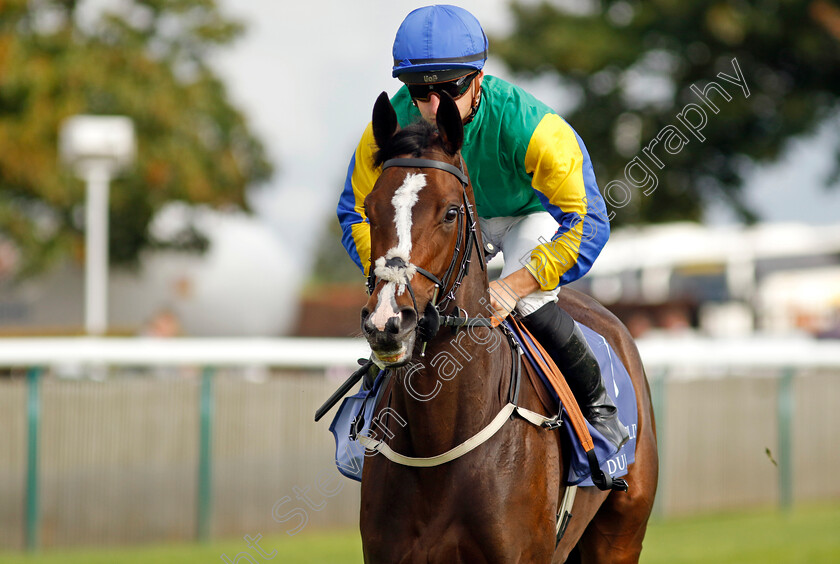 Ipanema-Princess-0002 
 IPANEMA PRINCESS (Tom Marquand)
Newmarket 23 Sep 2022 - Pic Steven Cargill / Racingfotos.com