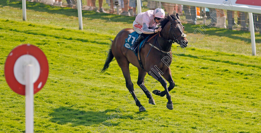 Another-Investment-0003 
 ANOTHER INVESTMENT (Jack Mitchell) wins The Irish Thoroughbred Marketing Handicap
York 16 Jun 2023 - Pic Steven Cargill / Racingfotos.com