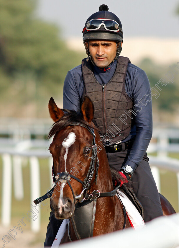 Global-Giant-0003 
 GLOBAL GIANT training for the Bahrain International Trophy
Rashid Equestrian & Horseracing Club, Bahrain, 19 Nov 2020 - Pic Steven Cargill / Racingfotos.com