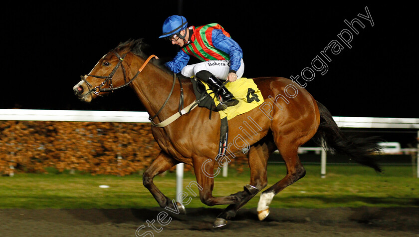 Penarth-Pier-0002 
 PENARTH PIER (Richard Kingscote) wins The Bet At racingtv.com Handicap Div2
Kempton 17 Feb 2020 - Pic Steven Cargill / Racingfotos.com