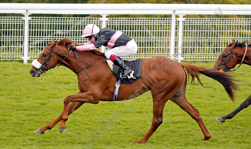 Classic-Lord-0008 
 CLASSIC LORD (Oisin Murphy) wins The Ladbrokes Watch Racing Online For Free Maiden Auction Stakes
Goodwood 30 Aug 2020 - Pic Steven Cargill / Racingfotos.com