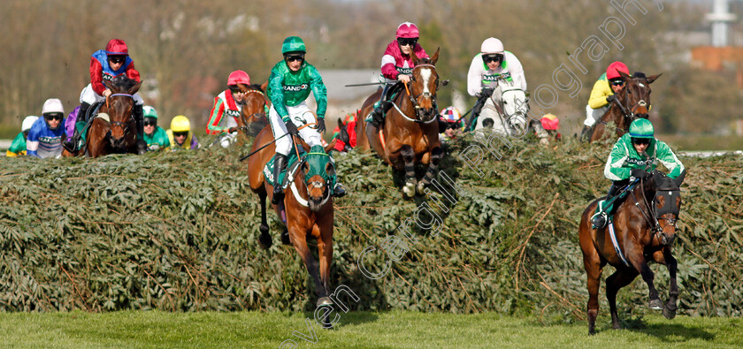 Janika-and-Royal-Rendezvous-0001 
 JANIKA (centre, Daryl Jacob) with ROYAL RENDEZVOUS (right)
Aintree 8 Apr 2022 - Pic Steven Cargill / Racingfotos.com