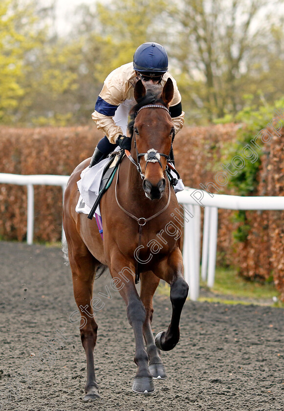 Hill-Spirit-0001 
 HILL SPIRIT (Hollie Doyle)
Kempton 3 Apr 2024 - Pic Steven Cargill / Racingfotos.com